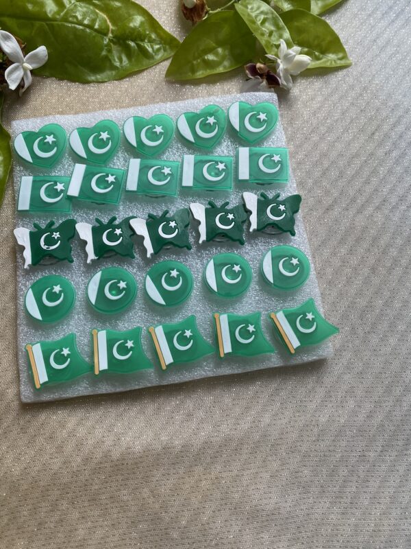 🇵🇰 Light-Up Azadi Badge Clips – Flag Inspired Styles - Image 3