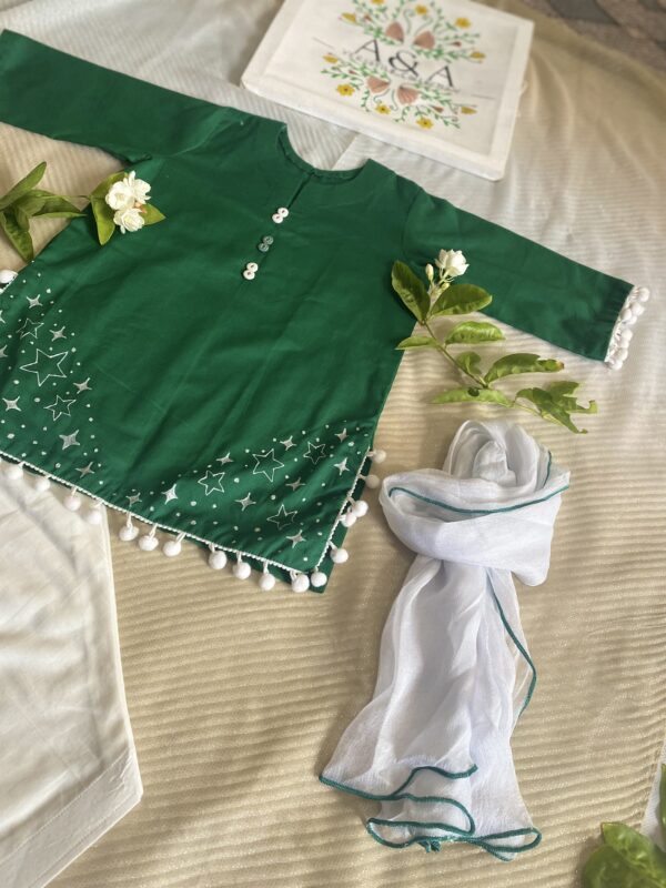 🌟🇵🇰 Hand-Painted Azadi Dress for Baby Girls | 3-Piece | Size 2 Years | Customisable - Image 4