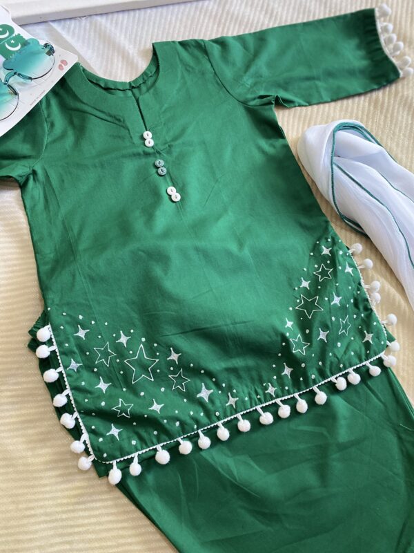 🌟🇵🇰 Hand-Painted Azadi Dress for Baby Girls | 3-Piece | Size 2_3Years | Customisable - Image 3