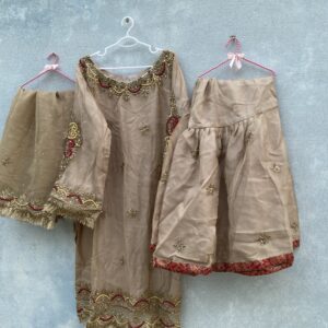 ✨ Preloved Organza Gharara Suit | Ada Work & Embroidery ✨